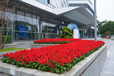 PP������Ϸ(�й�����)�ٷ���վ