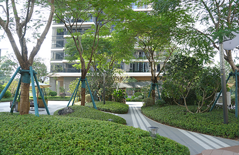 PP������Ϸ(�й�����)�ٷ���վ