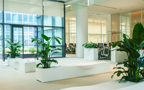 PPϷ칫ֲڷſˮ,Ҫ֪!