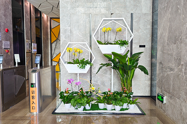 �����󶼻�����̻������龰