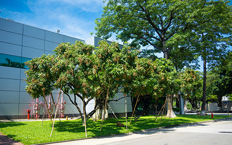 PPϷ26רҵ칤԰̻ĸ߲淶