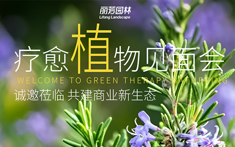 չԤ | ﲩԼPPϷҵ̬