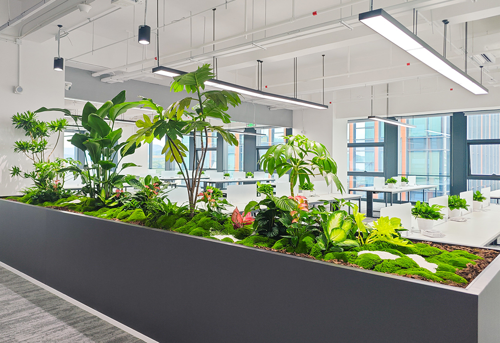 游戏公司总部绿植租摆