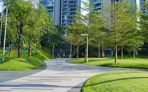 PP������Ϸ(�й�����)�ٷ���վ